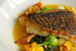 pet friendly restaurant in the hamptons