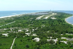 dog friendly beach in the hamptons