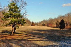dog friendly beach in the hamptons