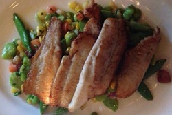 pet friendly restaurant in the hamptons