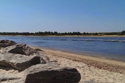 dog park in the hamptons