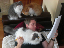 pet friendly vacation rentals by owner