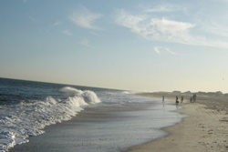 dog friendly beach in the hamptons